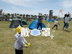 -春花秋色城市公园