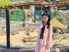 -大连森林动物园