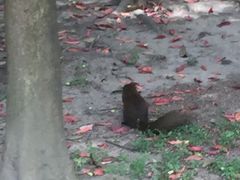 -四川大学(望江校区)
