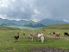 -新疆那拉提国家旅游度假区