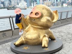 -星光大道