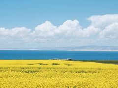 -青海湖国家重点风景名胜区