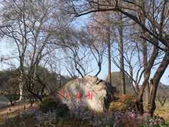 -无锡梅园公园