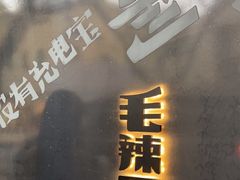 -毛辣果·酸