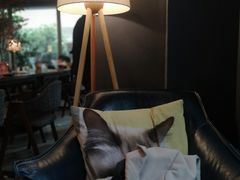 -咖法森林·咖啡  酒吧(天河店)