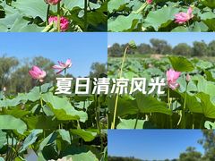 -圆明园遗址公园