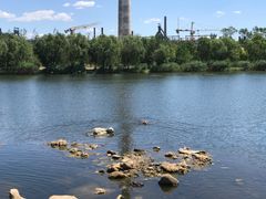 -永定河休闲森林公园