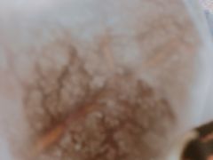 -奈雪的茶(金地广场店)