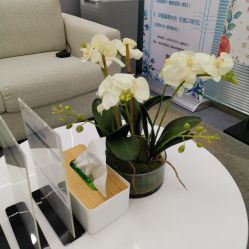 -时光海科学美肤中心