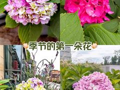 -吴越荣记苏州菜·松鼠桂鱼(月光码头店)