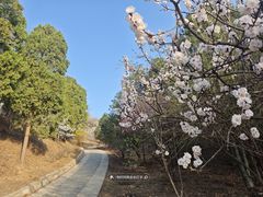 -北京西山国家森林公园