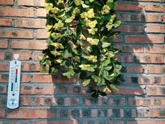 -湘邻呷铺·田园家宴(汉基广场店)