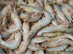 对虾-杭州登云路农贸市场(胜月院店)