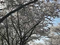 -长田漾湿地公园