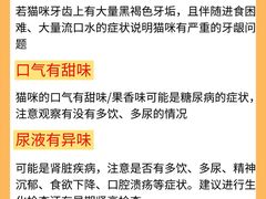 -李小姐の猫咖啡馆(五角场店)