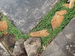 -北马山庄植趣咖啡