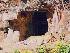 -杭州动物园