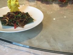 -玺尊龙·云岭四季(西南店)