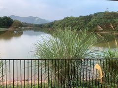 -福建鲤鱼洲酒店