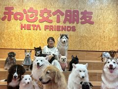 -和它·交个朋友·狗咖猫咖(爱琴海店)