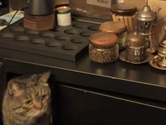 -云端咖啡私房店(河松街店)