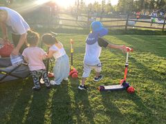 -前小桔亲子创意农场·草莓采摘·露营烧烤