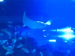 -成都浩海立方海洋公园