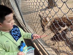 -西安秦岭野生动物园