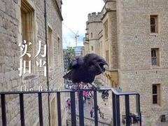 -伦敦塔
