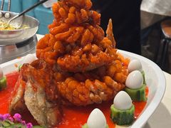 -丁老爷子苏香圆