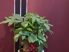 -丰收日(杨浦公园店)