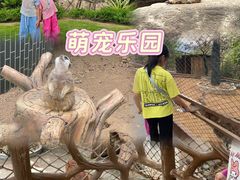 -佛冈森波拉度假区