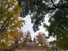 -北京石刻艺术博物馆(五塔寺)