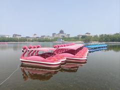 -莲花池公园