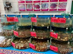水产区-叶存利海鲜大馅饺子(海宁路总店)