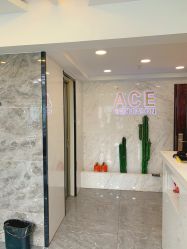 -ACE造型