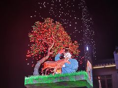 -溱湖国家湿地公园