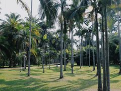 -中国科学院西双版纳热带植物园