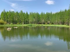 -黄海国家森林公园