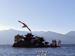 -小普陀