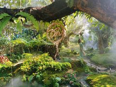 -Chom Cafe and Restaurant