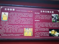 -凤栖山