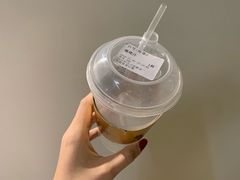 -野萃山·潮汕厚果汁(十亩地店)