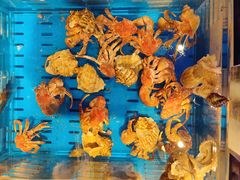 -开海·红岛海鲜虾水饺(石老人店)