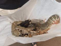 -拉威海鲜市场