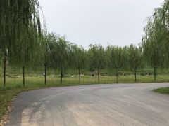 -兴安湖生态运动公园