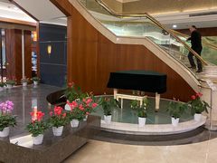 -南京国际会议大酒店