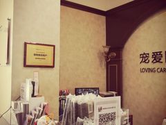 -宠爱国际动物医院· 猫科· 外科·中兽医(长白店)