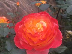 -UME影城(安贞DTS:X店)