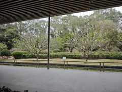 -南宁荔园维景国际酒店·荔园中餐厅